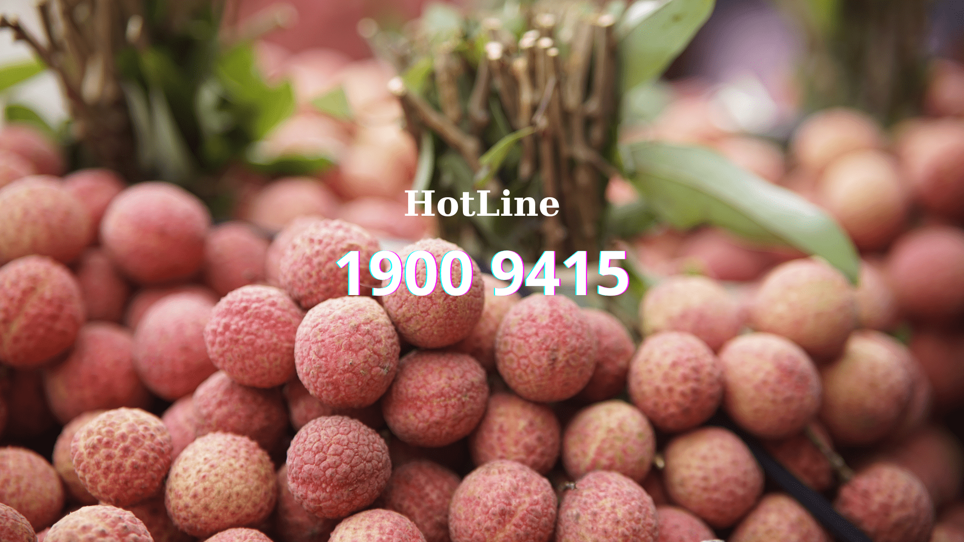 Dịch Vụ Cấp Cứu Bắc Giang Vận Chuyển người Bệnh